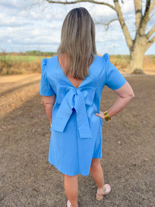 Plus Spring Chappell Dress in Skies are Blue
