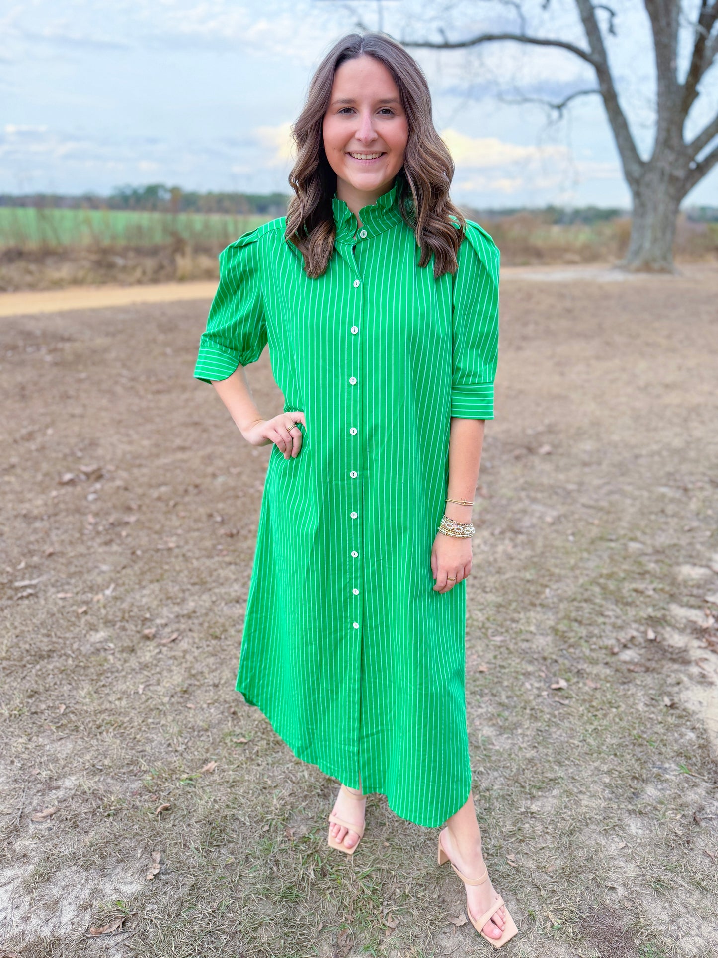 Spring Nina Dress in Kelly Green Stripe