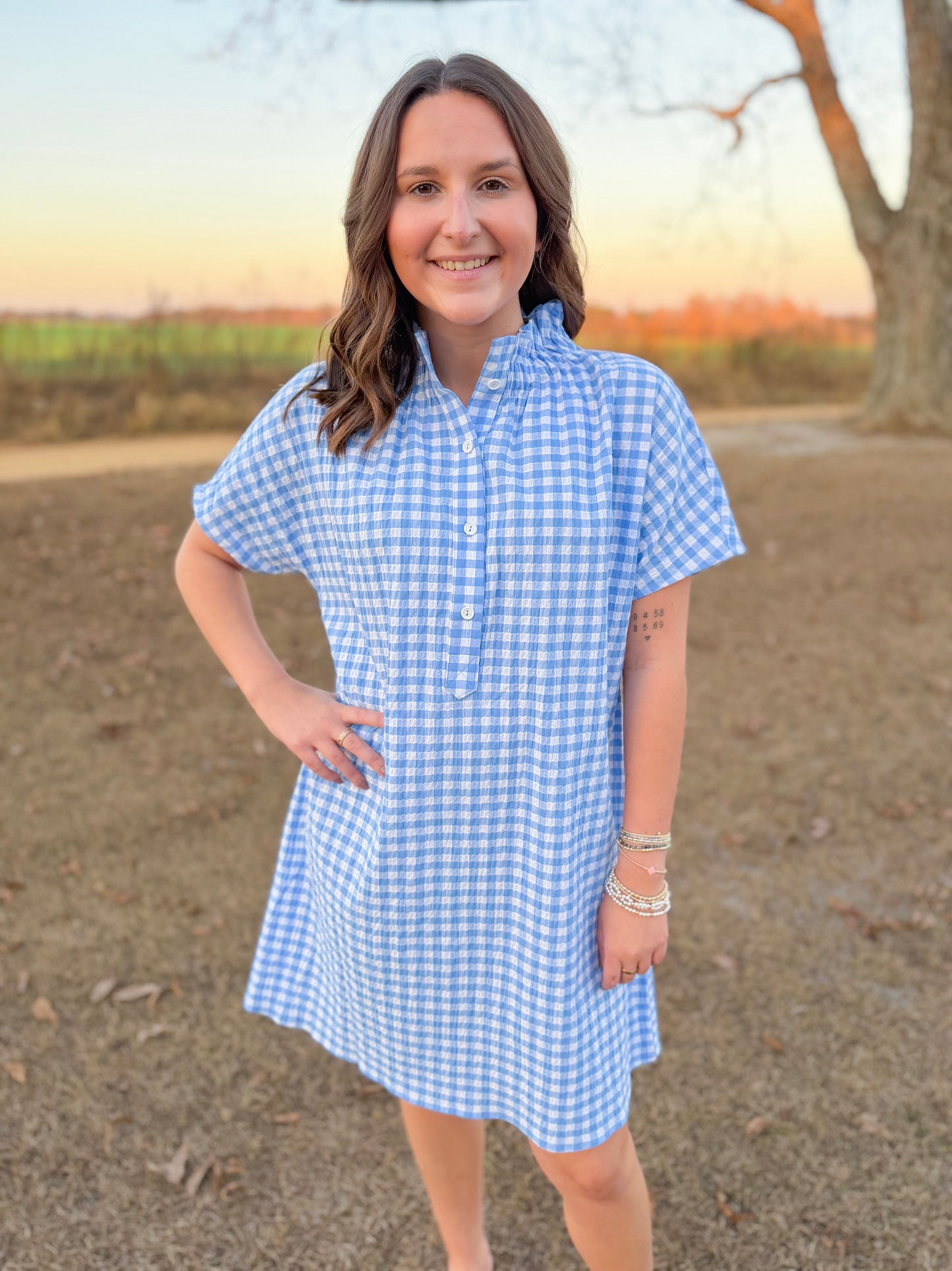 Plus Spring Emma Shift Dress in Sky Seersucker Gingham