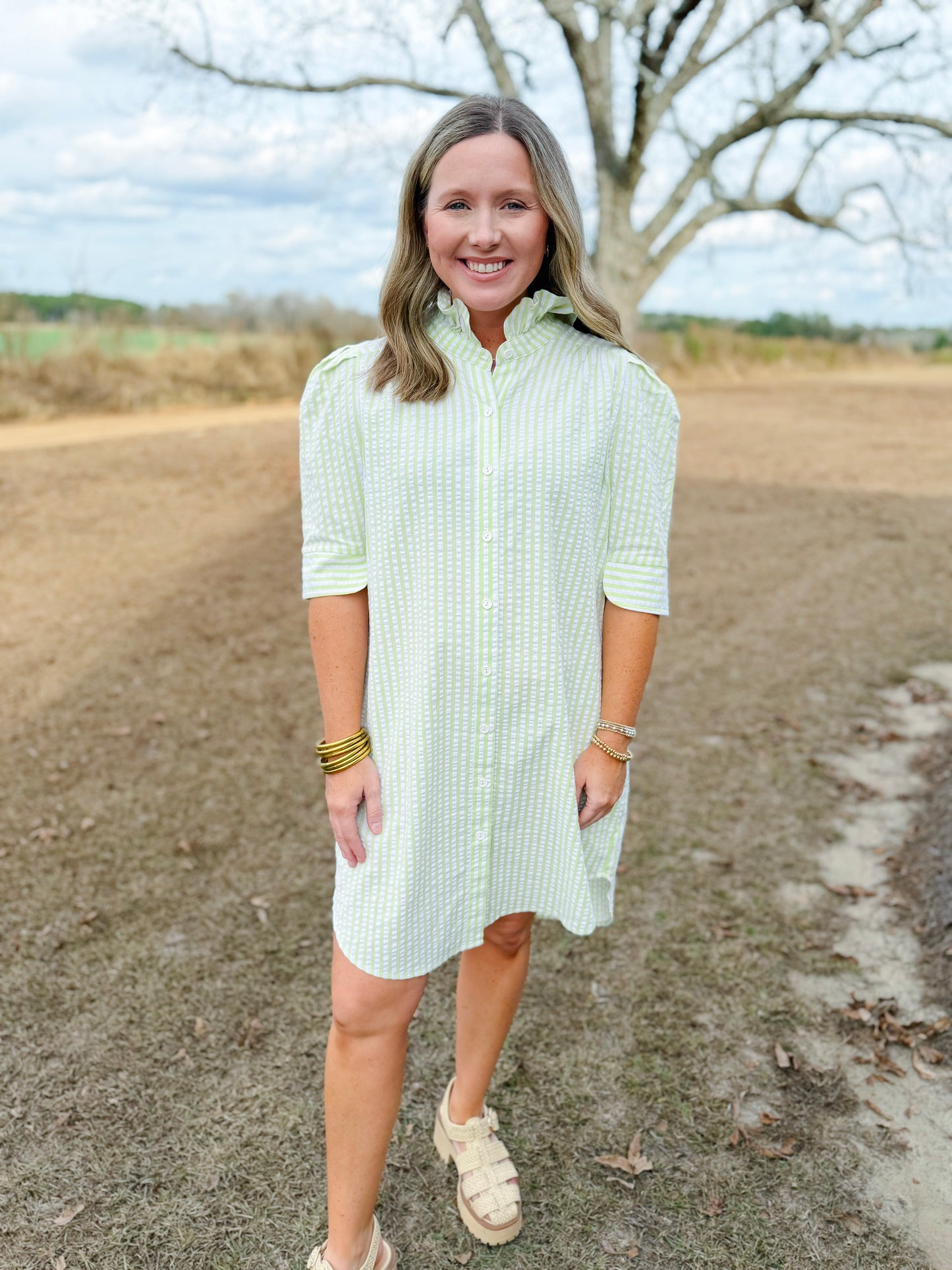 Plus Spring Callie Dress in Lime Seersucker