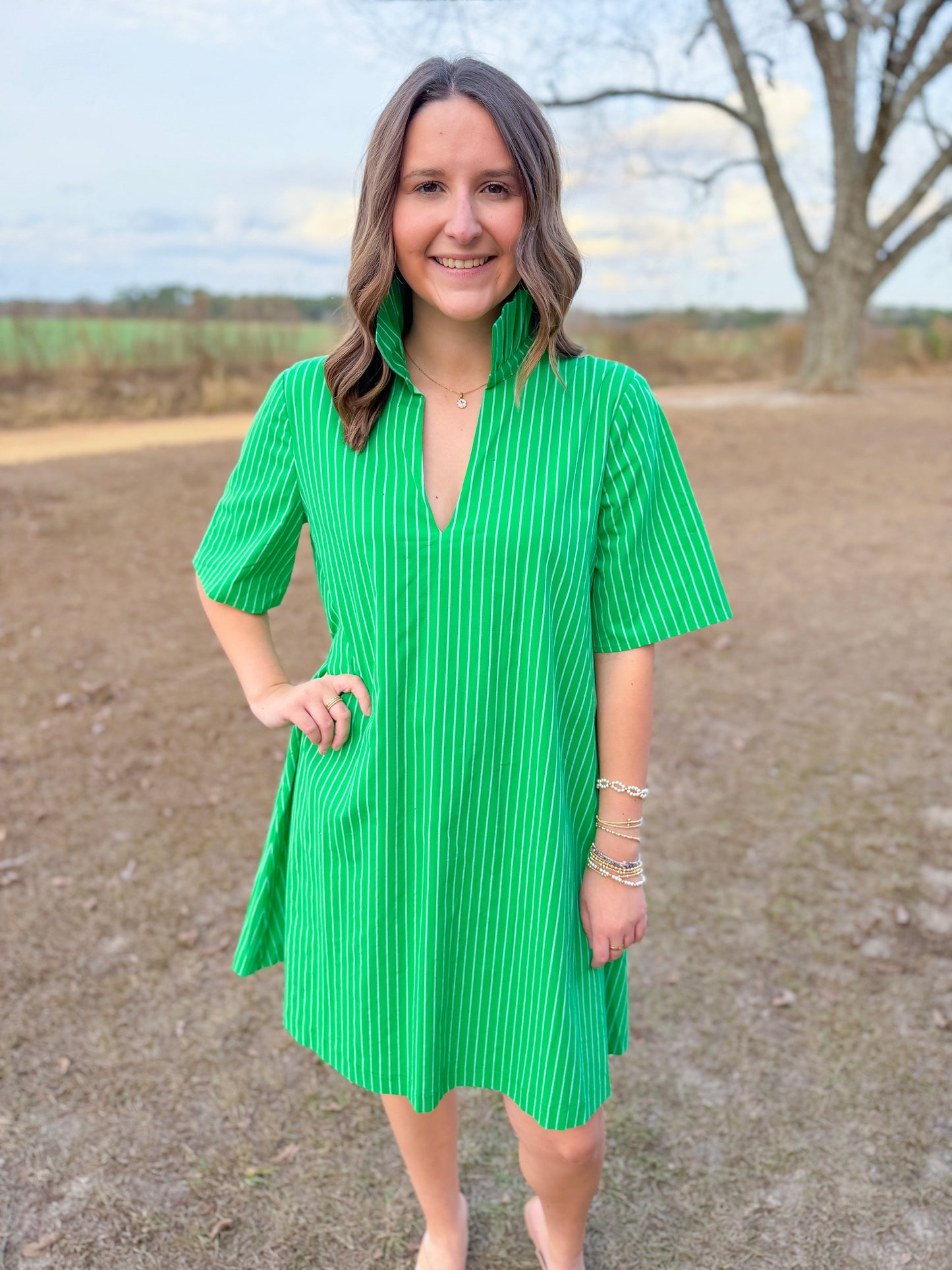 Plus Spring Olivia Dress in Kelly Green Stripe
