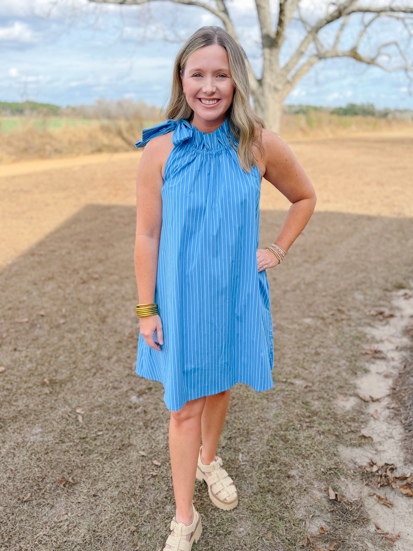 Plus Spring Gracie Dress in French Blue Stripe