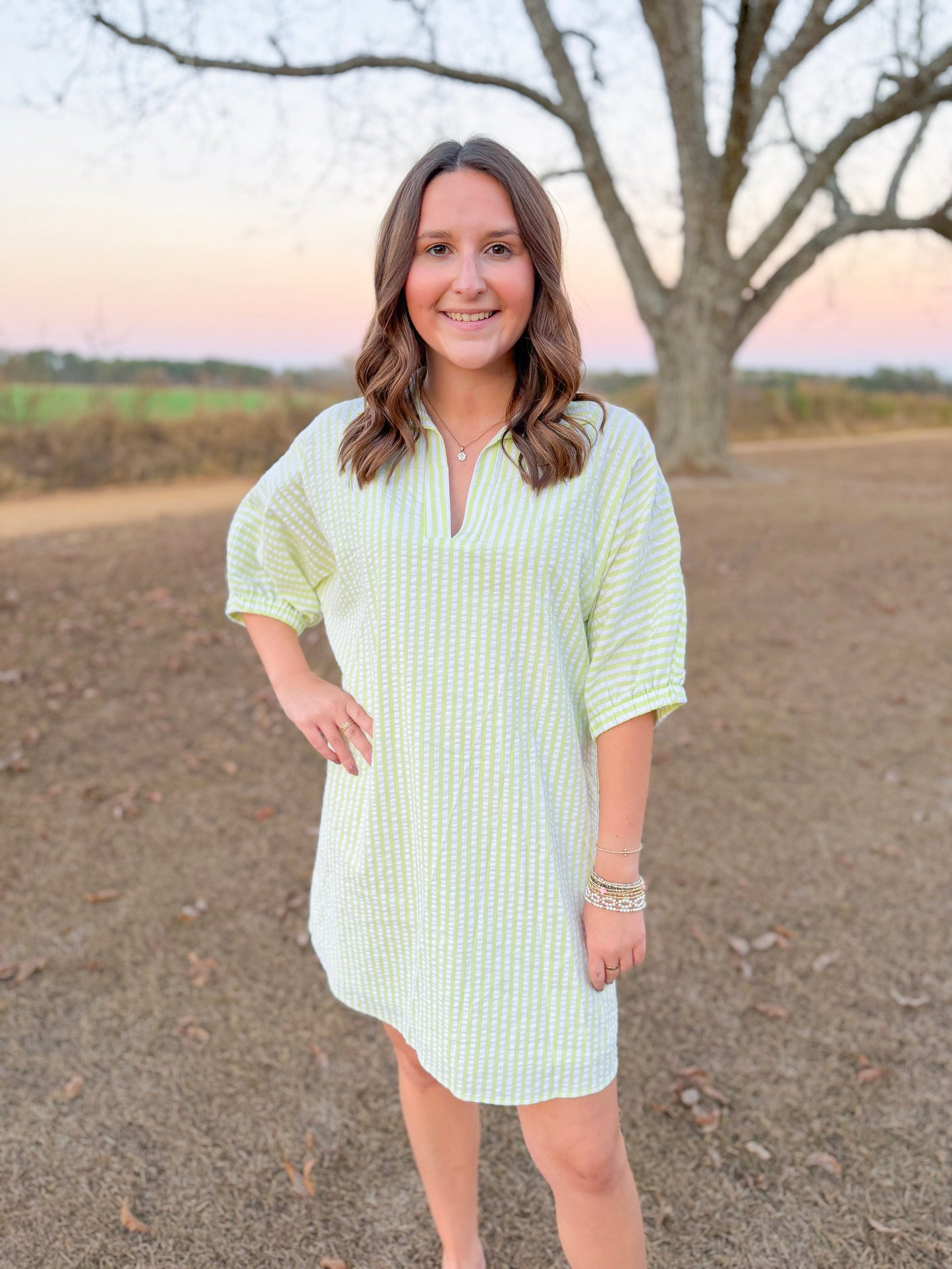 Spring Charlotte Dress in Lime Seersucker