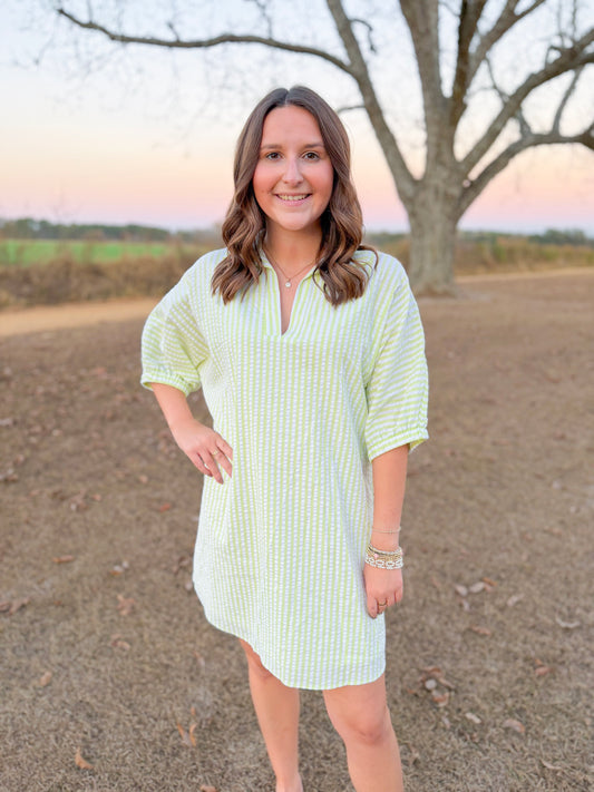 Spring Charlotte Dress in Lime Seersucker