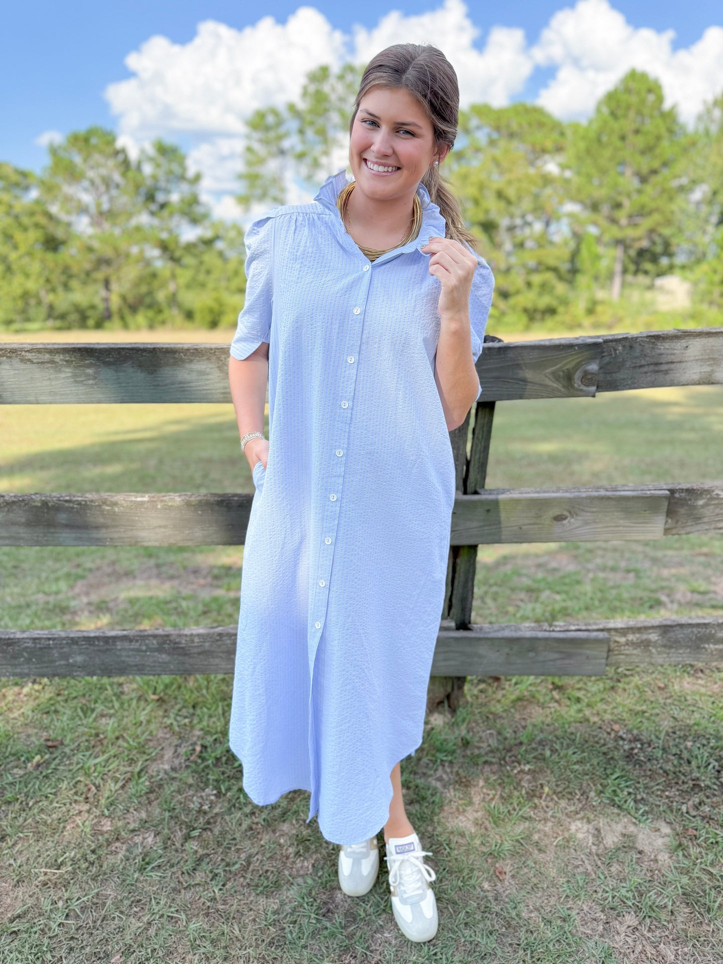 Plus Spring Nina Dress in Sky Seersucker Pinstripe