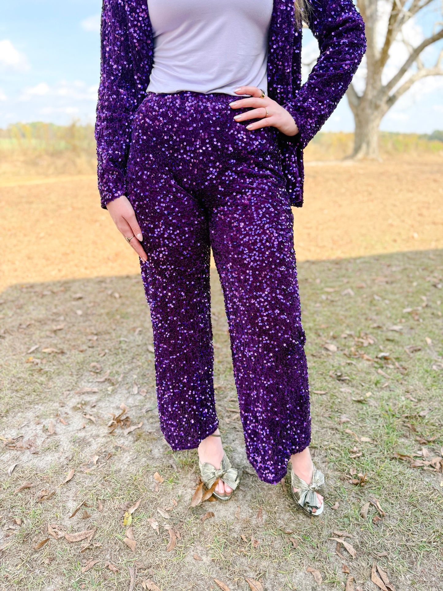 Mardi Gras Olympia Velvet Sequin Pants in Purple