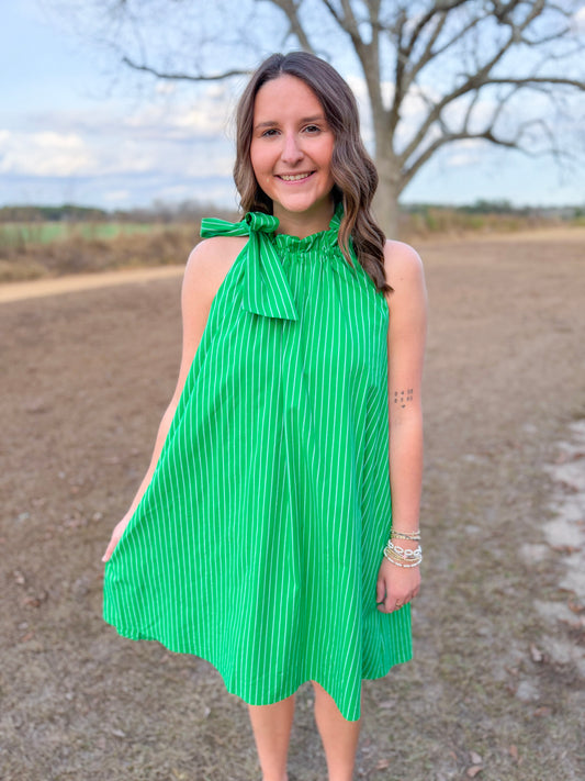 Spring Gracie Dress in Kelly Green Stripe