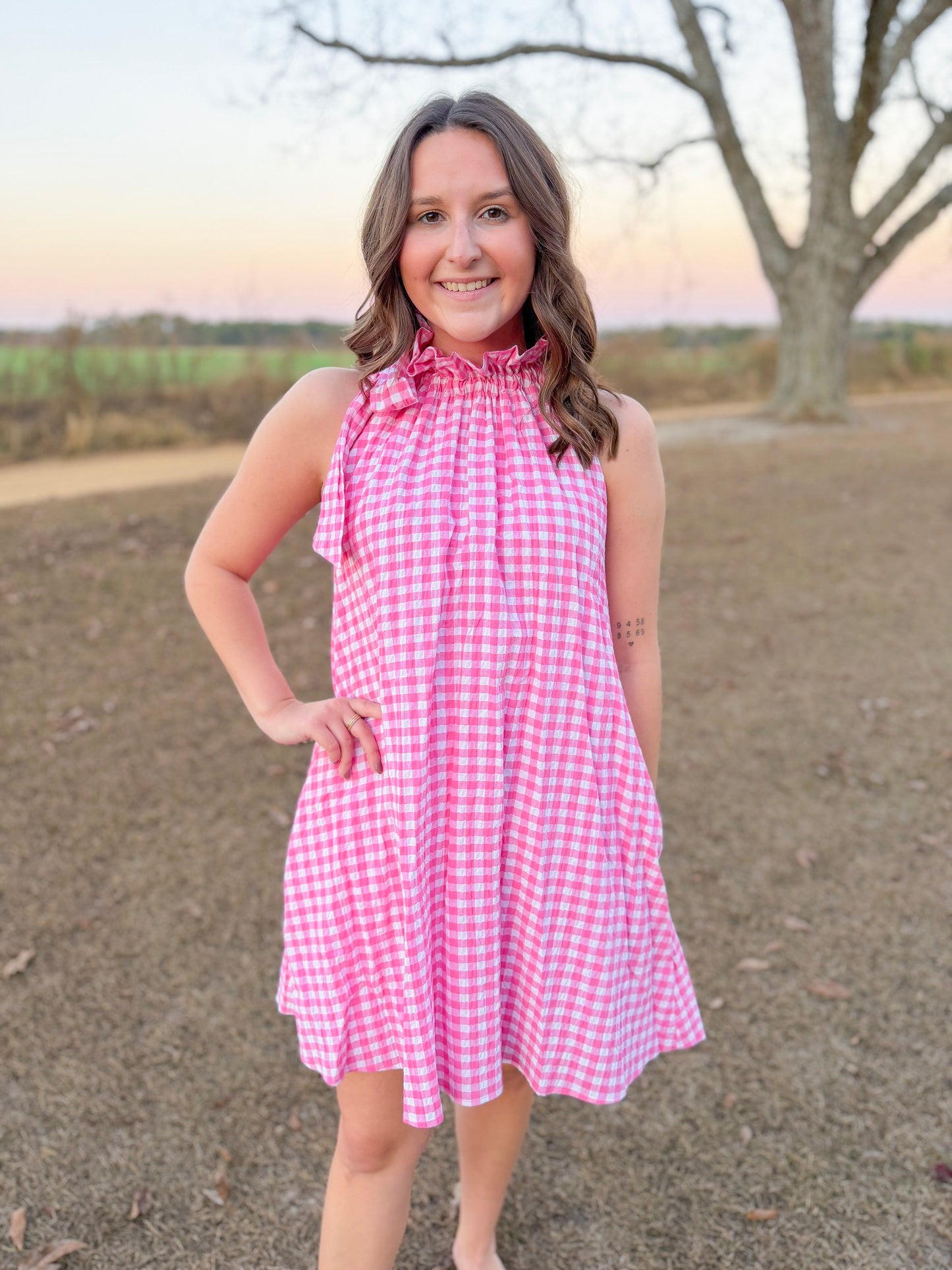 Plus Spring Gracie Dress in Pink Seersucker Gingham