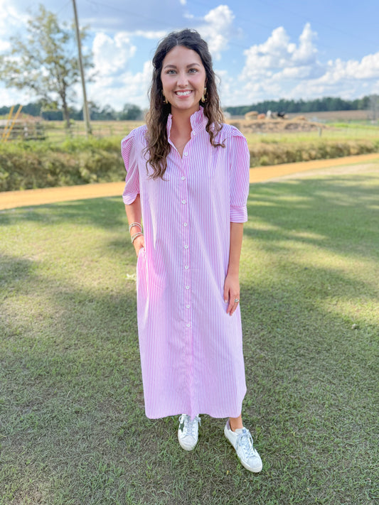 Plus Spring Nina Dress in Pink Hot Stripe