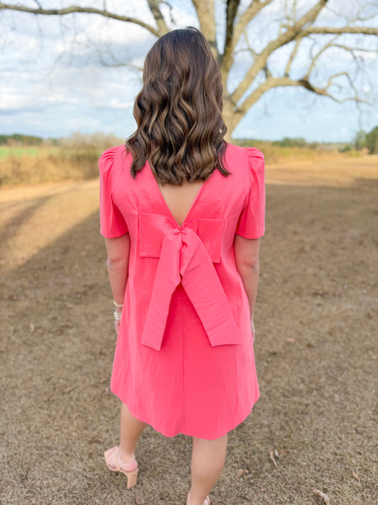 Plus Spring Chappell Dress in Coral Crush