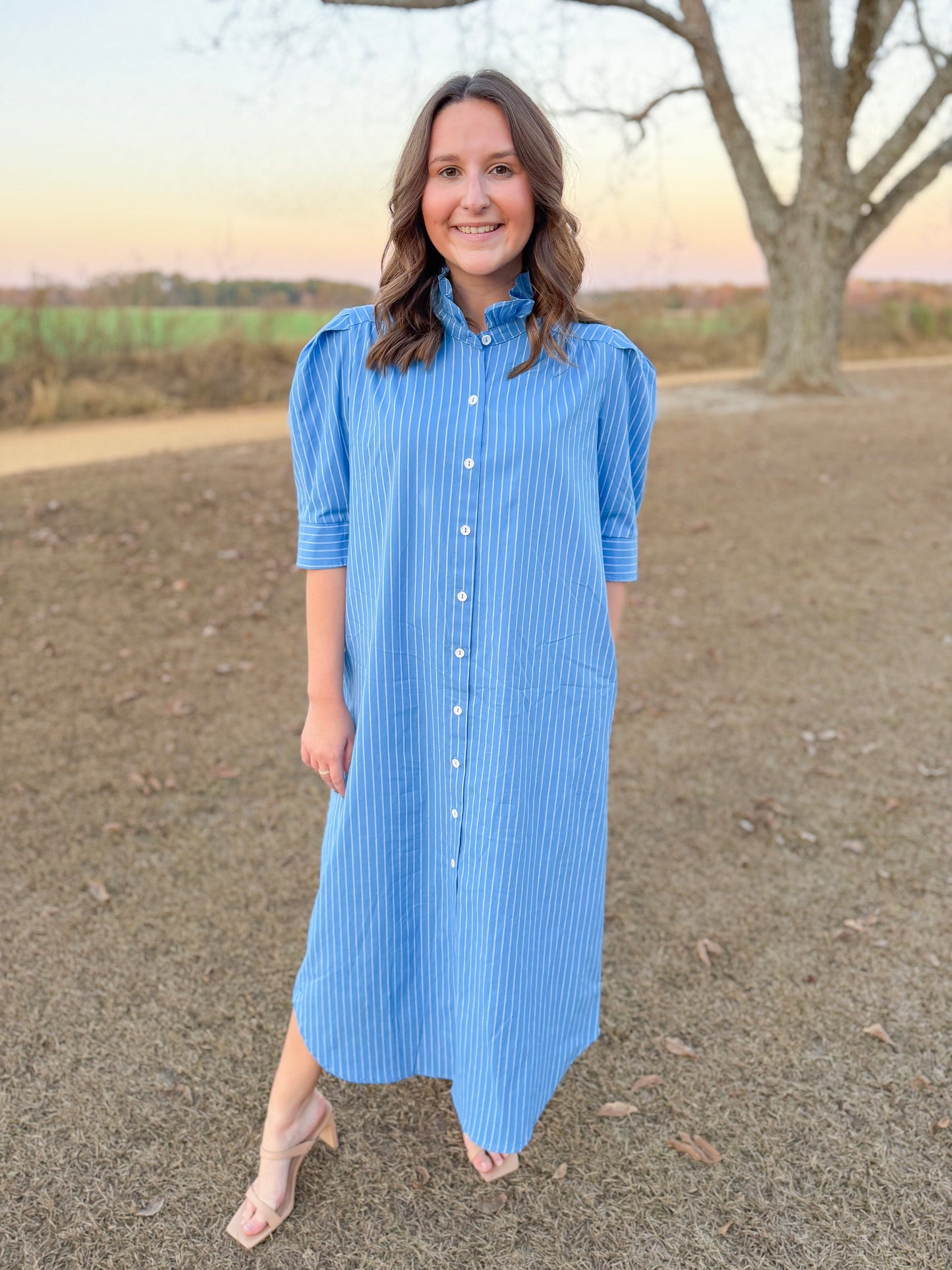 Plus Spring Nina Dress in French Blue Stripe