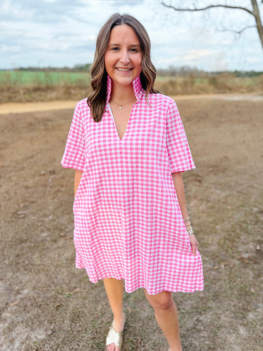 Spring Olivia Dress in Pink Seersucker Gingham