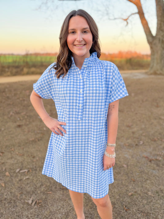Plus Spring Emma Shift Dress in Sky Seersucker Gingham