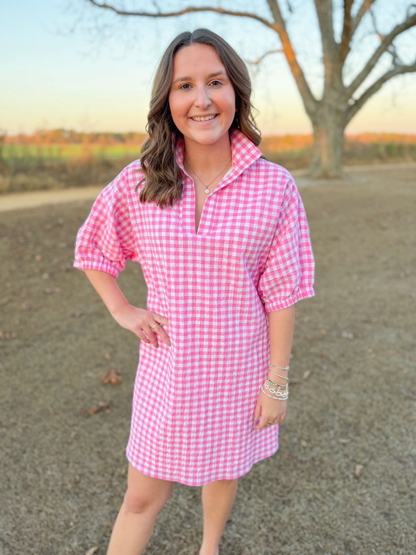 Spring Charlotte Dress in Pink Seersucker Gingham