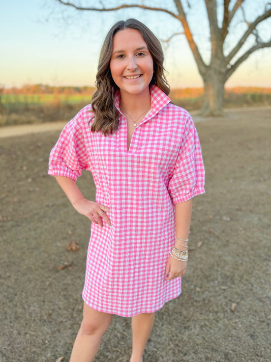 Spring Charlotte Dress in Pink Seersucker Gingham