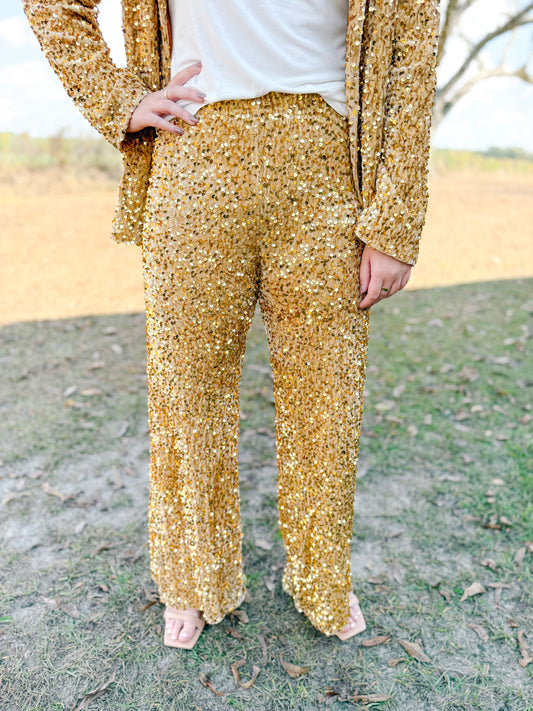 Mardi Gras Olympia Velvet Sequin Pants in Gold
