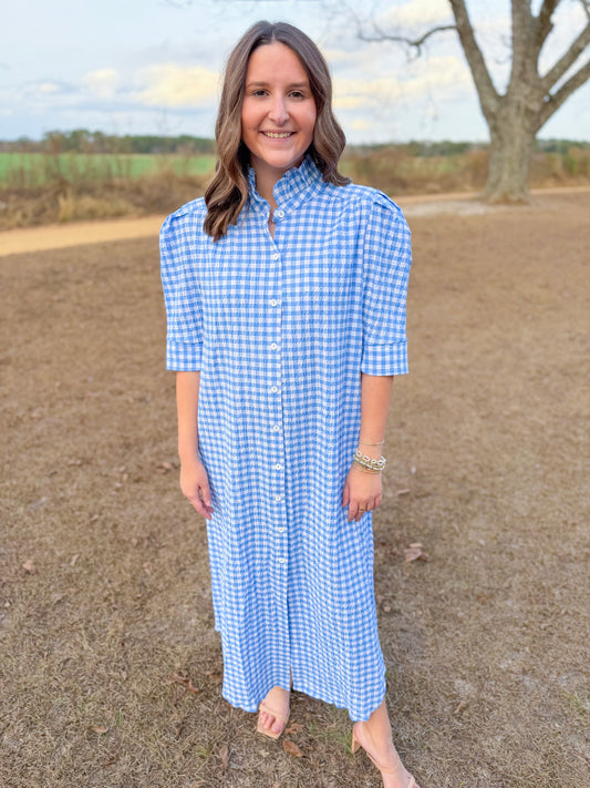 Plus Spring Nina Dress in Sky Seersucker Gingham