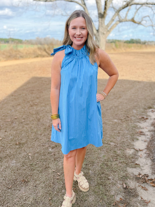 Plus Spring Gracie Dress in French Blue Stripe