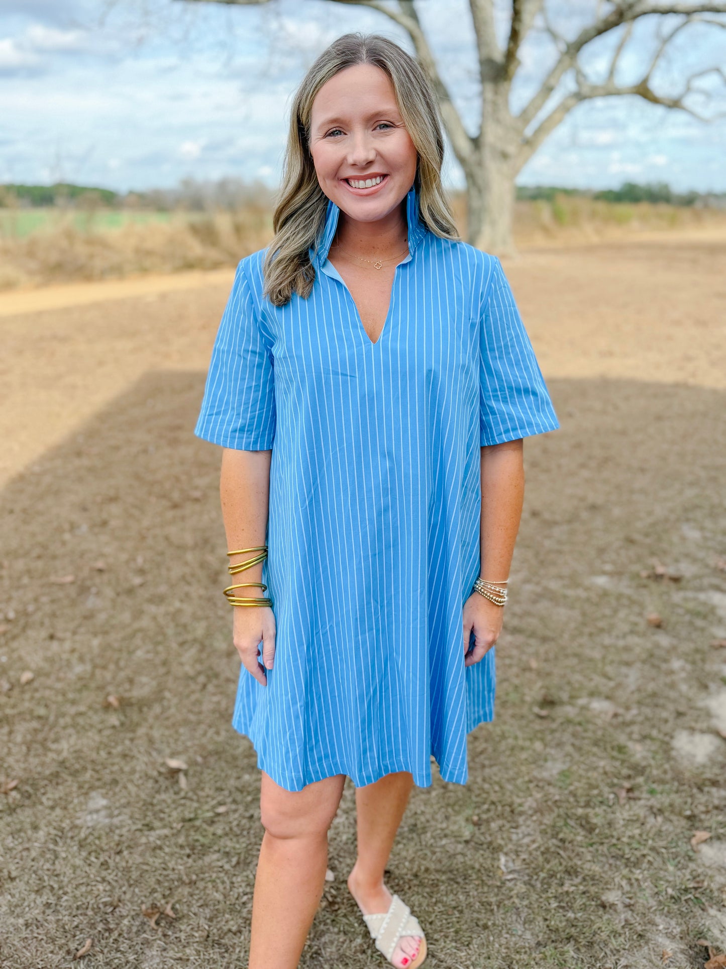 Plus Spring Olivia Dress in French Blue Stripe