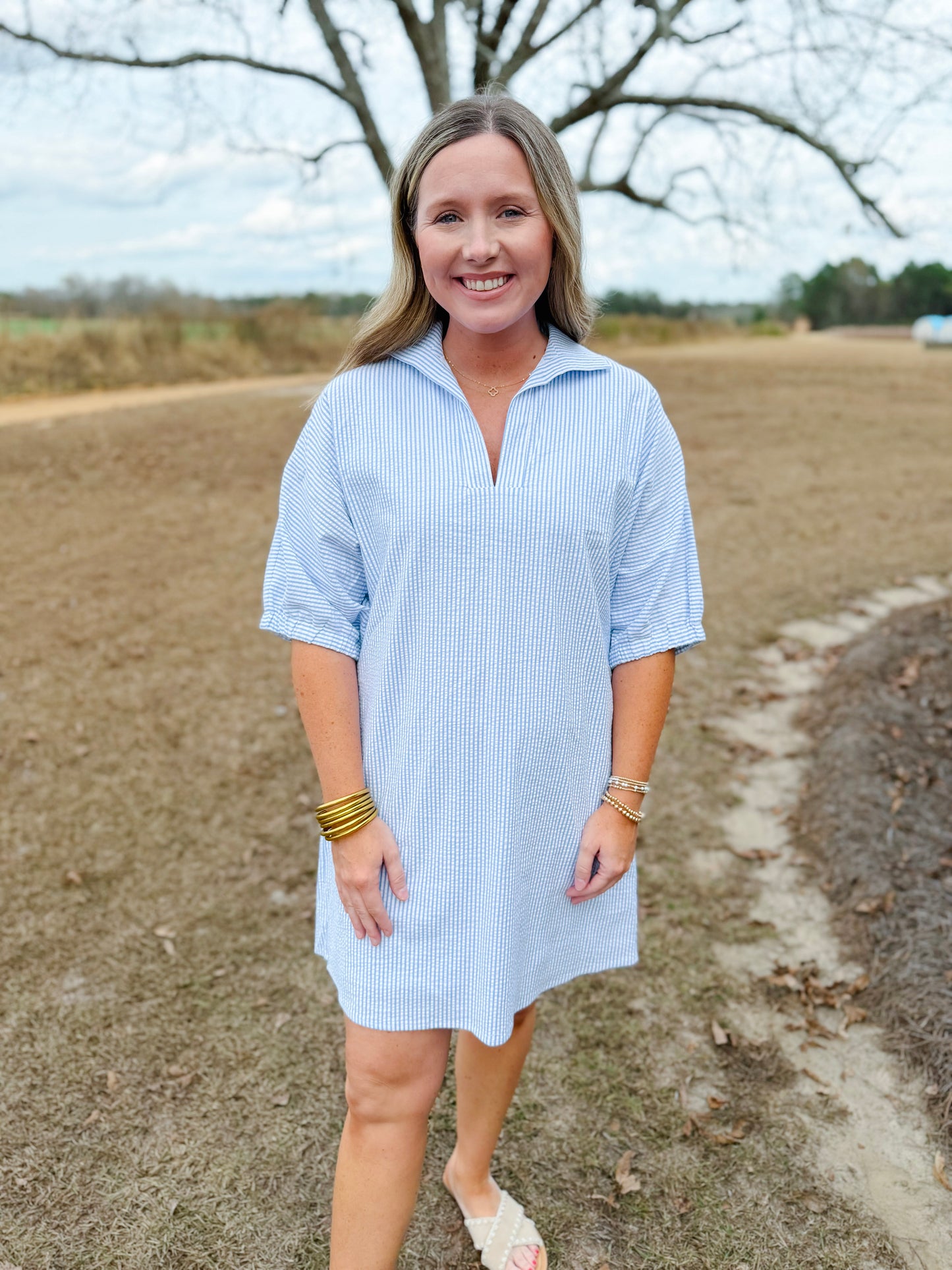 Spring Charlotte Dress in Sky Seersucker
